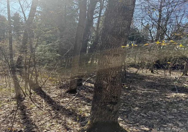 Photo 1 of Sale Pending at Tbd95 S Sidnaw Rd, Sidnaw, MI 49961 | MLS# 50220977 | Listing updated on 2026-09-17
