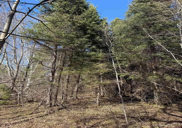 Photo 4 of Sale Pending at Tbd95 S Sidnaw Rd, Sidnaw, MI 49961 | MLS# 50220977 | Listing updated on 2026-09-17