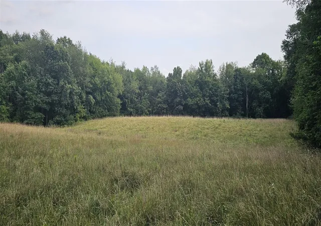 Photo 1 of Land for sale at 473 Block Rd, Coldwater, MI 49036 | MLS# 70553913 | Listing updated on 2026-10-07