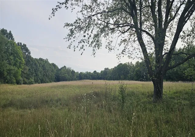 Photo 2 of Land for sale at 473 Block Rd, Coldwater, MI 49036 | MLS# 70553913 | Listing updated on 2026-10-07