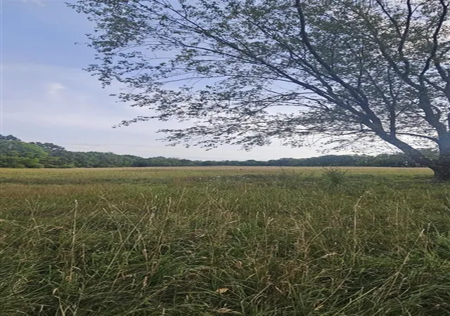 Photo 3 of Land for sale at 473 Block Rd, Coldwater, MI 49036 | MLS# 70553913 | Listing updated on 2026-10-07