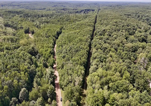 Photo 3 of Land for sale at 00 7 Mile Rd, Evart, MI 49631 | MLS# 70554467 | Listing updated on 2026-09-09