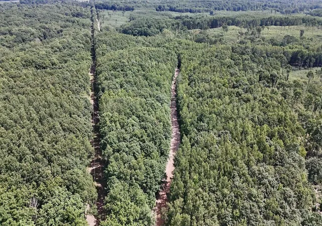 Photo 3 of Land for sale at 00 7 Mile Rd, Evart, MI 49631 | MLS# 70554467 | Listing updated on 2026-10-06