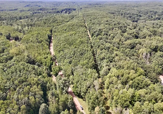 Photo 4 of Land for sale at 00 7 Mile Rd, Evart, MI 49631 | MLS# 70554467 | Listing updated on 2026-10-06
