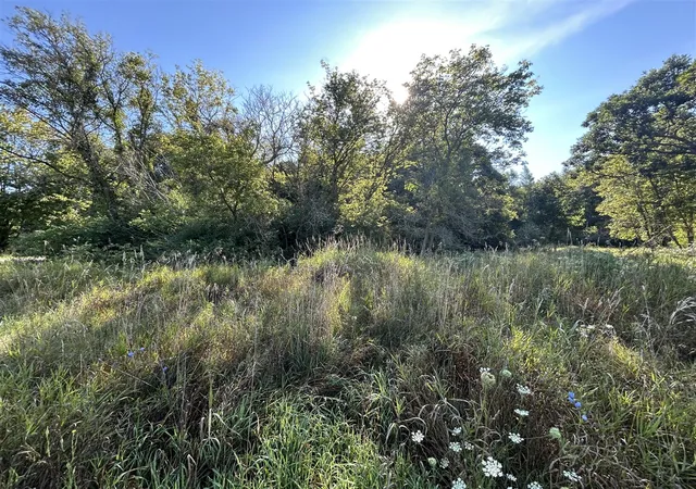 Photo 3 of Sale Pending at 0 Mckinney, Brooklyn, MI 49230 | MLS# 70553206 | Listing updated on 2026-09-01
