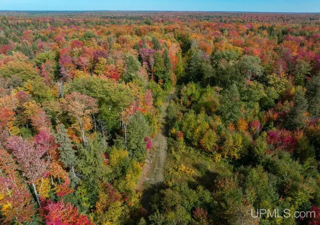 Photo 1 of Land for sale at 316 Acers Us 141 Hwy, Covington, MI 49919 | MLS# 50222914 | Listing updated on 2026-09-25