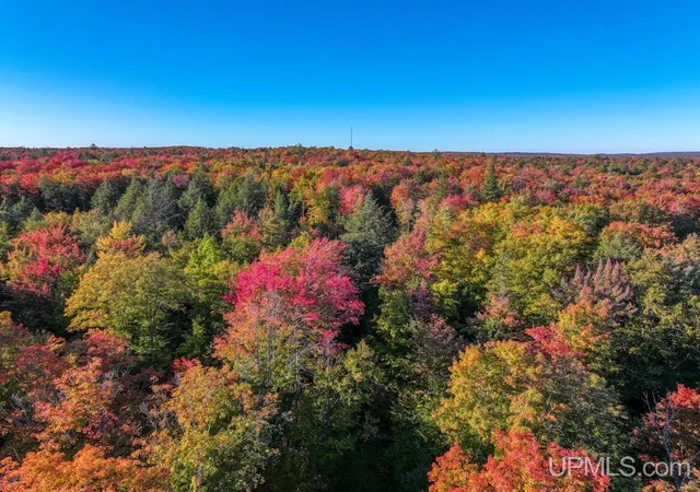 Photo 2 of Land for sale at 316 Acers Us 141 Hwy, Covington, MI 49919 | MLS# 50222914 | Listing updated on 2026-09-25
