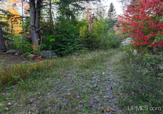 Photo 3 of Land for sale at 316 Acers Us 141 Hwy, Covington, MI 49919 | MLS# 50222914 | Listing updated on 2026-09-25
