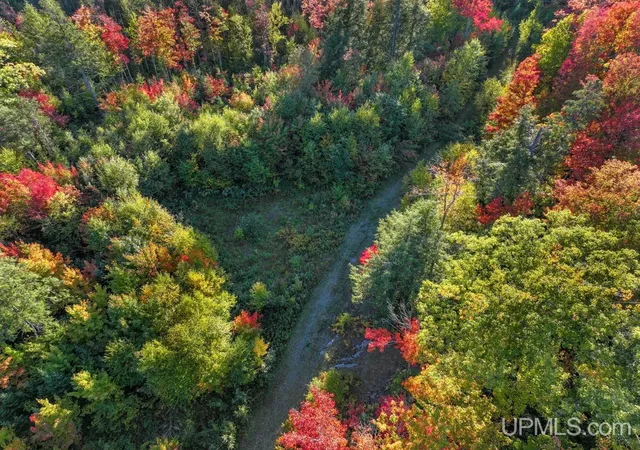 Photo 3 of Land for sale at 316 Acers US 141 Hwy, Covington, MI 49919 | MLS# 50222914 | Listing updated on 2026-09-25