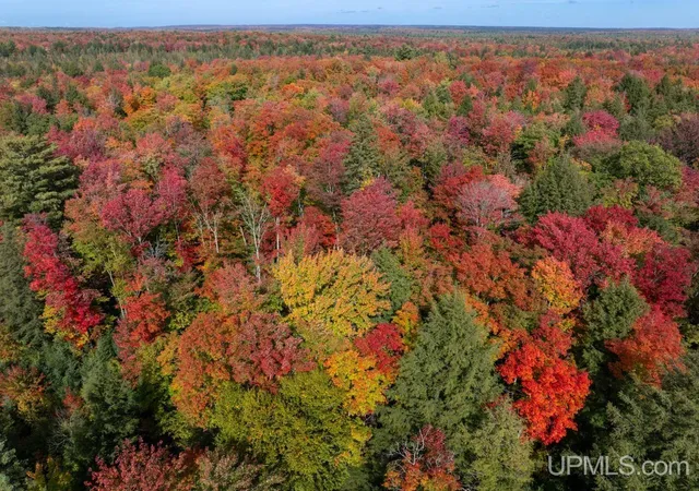 Photo 4 of Land for sale at 316 Acers US 141 Hwy, Covington, MI 49919 | MLS# 50222914 | Listing updated on 2026-09-25
