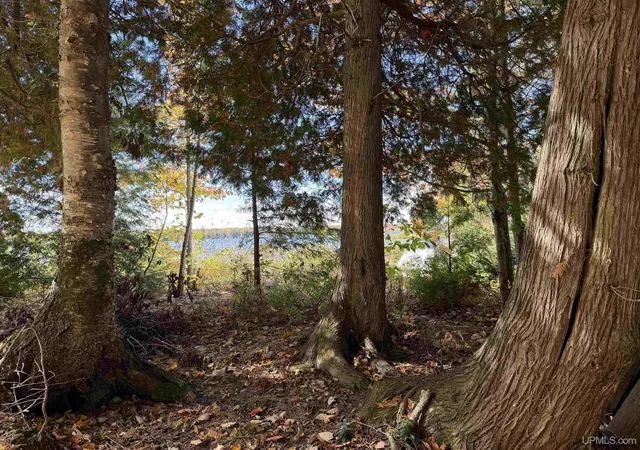 Photo 3 of Land for sale at 21766 Petticoat Lake Rd, Michigamme, MI 49861 | MLS# 50224650 | Listing updated on 2026-10-12