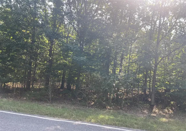 Photo 3 of Land for sale at 10 W Acres Arthur Rd, New Era, MI 49446 | MLS# 70542625 | Listing updated on 2026-09-09