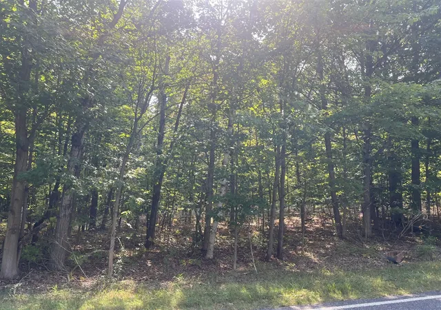 Photo 4 of Land for sale at 10 W Acres Arthur Rd, New Era, MI 49446 | MLS# 70542625 | Listing updated on 2026-09-09