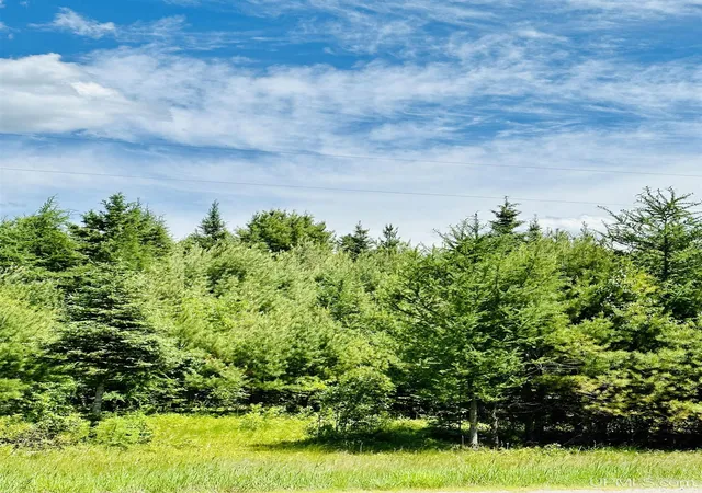 Photo 14 of Land for sale at Tbd Hawks Dr, Republic, MI 49879 | MLS# 50223569 | Listing updated on 2026-10-01