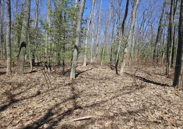 Photo 2 of Land for sale at Parcel E Grant Ave, Harrison, MI 48625 | MLS# 50203555 | Listing updated on 2026-10-05