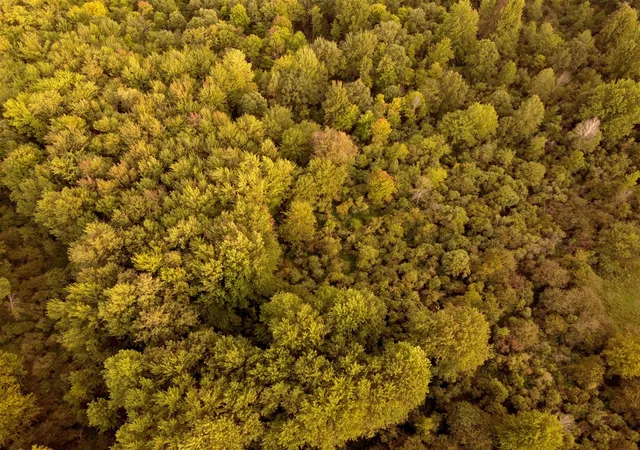 Photo 2 of Land for sale at V/l Onondaga, Holt, MI 48842 | MLS# 70556155 | Listing updated on 2026-09-28