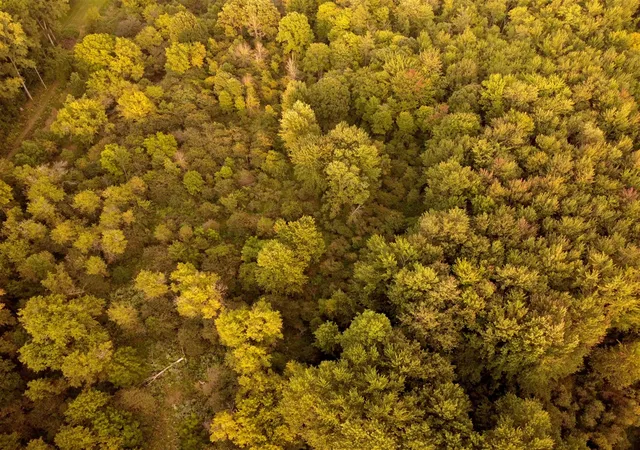 Photo 3 of Land for sale at V/l Onondaga, Holt, MI 48842 | MLS# 70556155 | Listing updated on 2026-09-28