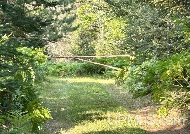 Photo 3 of Single family home for sale at 9000 Bear Lake Lodge Rd, Ishpeming, MI 49849 | MLS# 50222373 | Listing updated on 2026-09-21