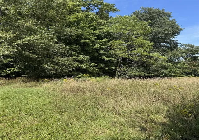 Photo 3 of Sale Pending at Vl Greenfield Rd, Bronson, MI 49028 | MLS# 70557450 | Listing updated on 2026-09-11