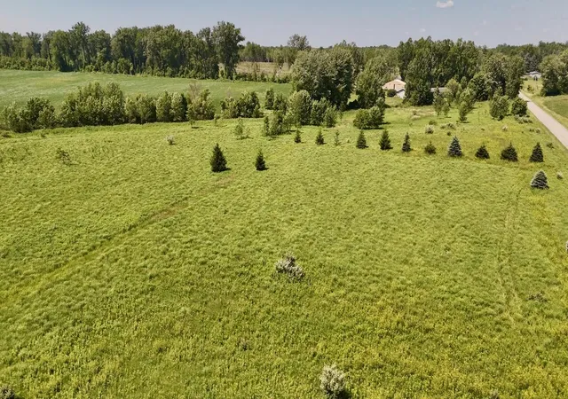 Photo 3 of Sale Pending at V/l S Santiago Rd, Au Gres, MI 48703 | MLS# 70549226 | Listing updated on 2026-09-09