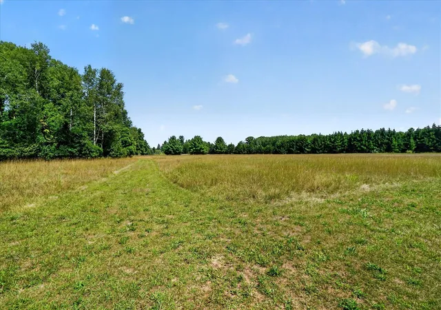 Photo 2 of Land for sale at 00 N Maple Hl Rd, Howard City, MI 49329 | MLS# 70554406 | Listing updated on 2026-09-18