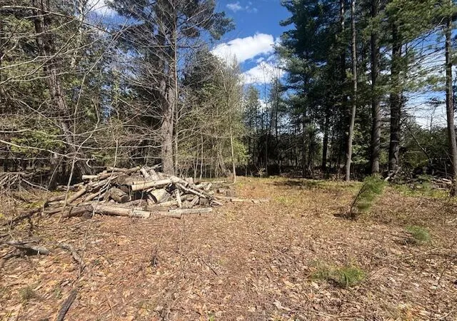 Land for sale at 735 N Lakola Rd, Reed City, MI 49655-9617 | MLS# 70530374