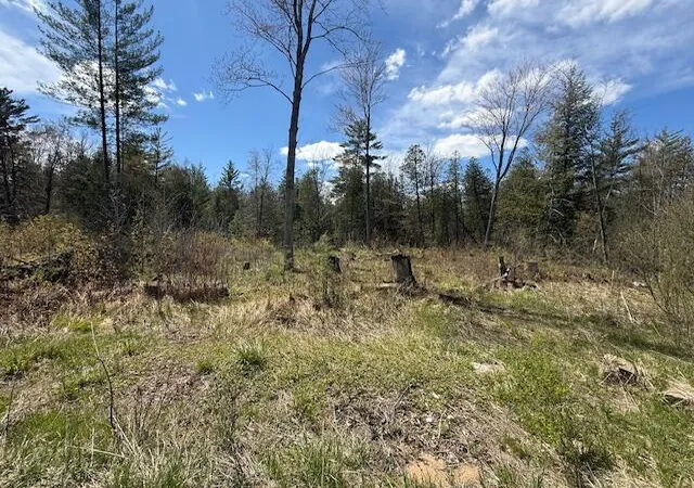 Photo 2 of Land for sale at 735 N Lakola Rd, Reed City, MI 49655 | MLS# 70530374 | Listing updated on 2026-09-11