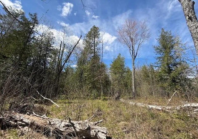 Photo 3 of Land for sale at 735 N Lakola Rd, Reed City, MI 49655 | MLS# 70530374 | Listing updated on 2026-09-11