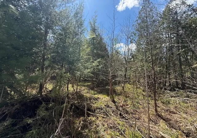 Photo 3 of Land for sale at 735 N Lakola Rd, Reed City, MI 49655 | MLS# 70530374 | Listing updated on 2026-09-11