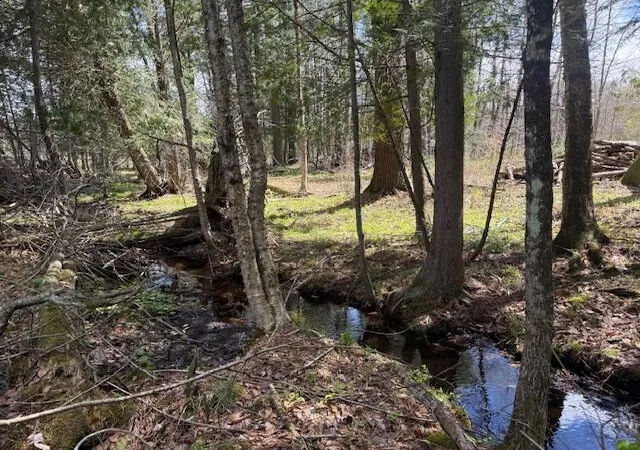 Photo 4 of Land for sale at 735 N Lakola Rd, Reed City, MI 49655 | MLS# 70530374 | Listing updated on 2026-09-11