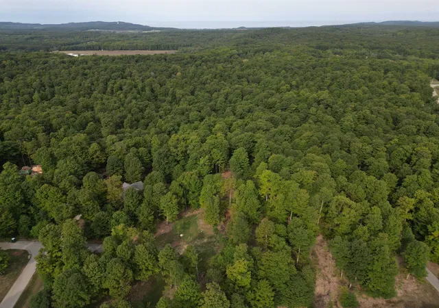 Photo 3 of Land for sale at 15 S Mistys Trl, Empire, MI 49630 | MLS# 80072951 | Listing updated on 2026-09-03