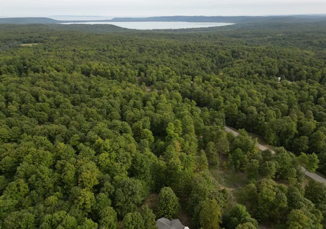 Photo 3 of Land for sale at 15 S Mistys Trl, Empire, MI 49630 | MLS# 80072951 | Listing updated on 2026-09-03