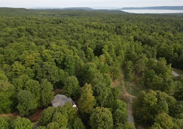 Photo 4 of Land for sale at 15 S Mistys Trl, Empire, MI 49630 | MLS# 80072951 | Listing updated on 2026-09-03