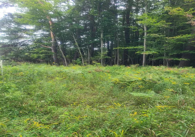 Photo 2 of Land for sale at 00 M 55, Whittemore, MI 48770 | MLS# 80073040 | Listing updated on 2026-09-12