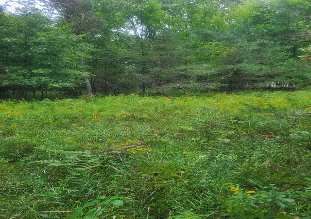 Photo 3 of Land for sale at 00 M 55, Whittemore, MI 48770 | MLS# 80073040 | Listing updated on 2026-09-12