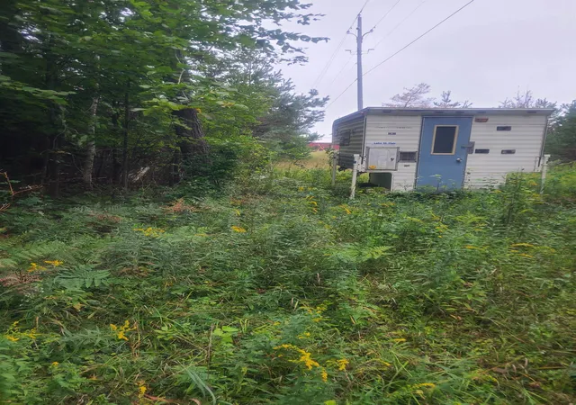 Photo 4 of Land for sale at 00 M 55, Whittemore, MI 48770 | MLS# 80073040 | Listing updated on 2026-09-12