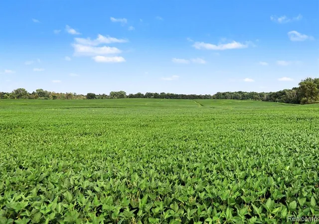 Photo 1 of Land for sale at Parcel B N Hacker Rd, Howell, MI 48843 | MLS# 61020527 | Listing updated on 2026-09-15