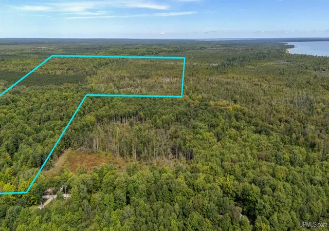 Photo 3 of Land for sale at Tbd Gierke Rd, Manistique, MI 49854 | MLS# 50221152 | Listing updated on 2026-09-08