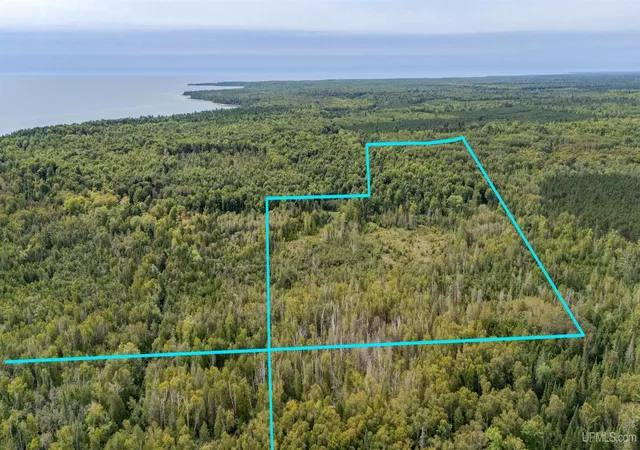 Photo 4 of Land for sale at Tbd Gierke Rd, Manistique, MI 49854 | MLS# 50221152 | Listing updated on 2026-09-08