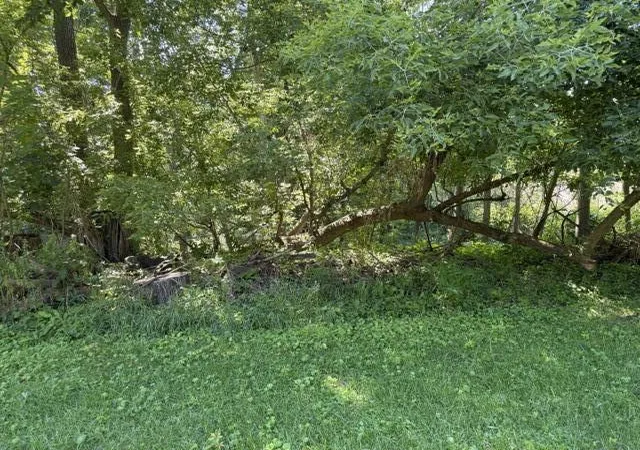 Photo 3 of Sale Pending at 413 Brewer St, Marshall, MI 49068 | MLS# 70543970 | Listing updated on 2026-09-08