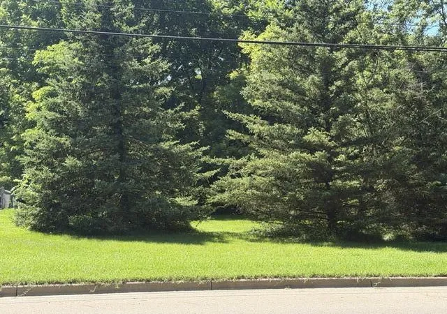 Photo 4 of Sale Pending at 413 Brewer St, Marshall, MI 49068 | MLS# 70543970 | Listing updated on 2026-09-08
