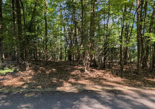 Photo 1 of Land for sale at W Shawnee Rd, Pentwater, MI 49449 | MLS# 70554522 | Listing updated on 2026-09-30