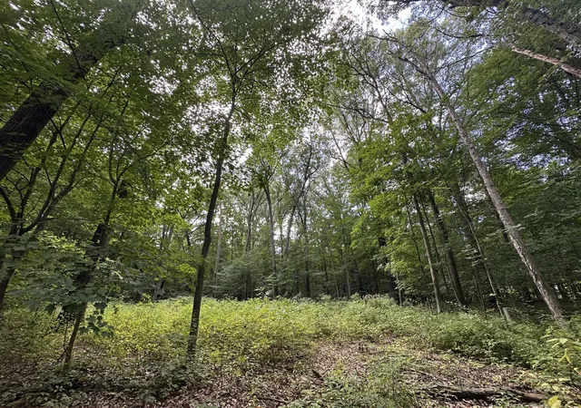 Photo 1 of Land for sale at 4540 Ross Dr, Benton Harbor, MI 49022 | MLS# 70493318 | Listing updated on 2026-09-08