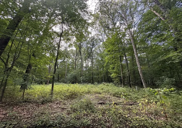 Photo 2 of Land for sale at 4540 Ross Dr, Benton Harbor, MI 49022 | MLS# 70493318 | Listing updated on 2026-09-08