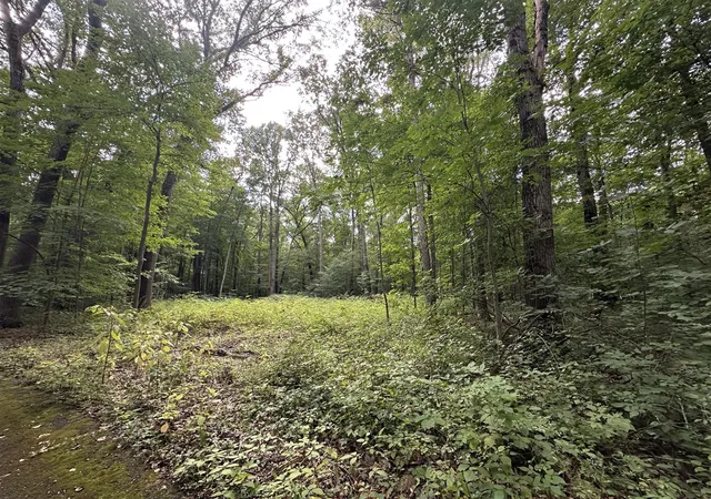Photo 3 of Land for sale at 4540 Ross Dr, Benton Harbor, MI 49022 | MLS# 70493318 | Listing updated on 2026-09-08