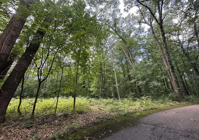 Photo 3 of Land for sale at 4540 Ross Dr, Benton Harbor, MI 49022 | MLS# 70493318 | Listing updated on 2026-09-08