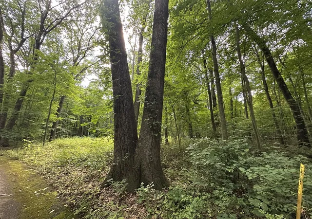 Photo 4 of Land for sale at 4540 Ross Dr, Benton Harbor, MI 49022 | MLS# 70493318 | Listing updated on 2026-09-08