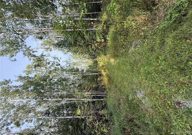 Photo 3 of Single family home for sale at 8018 Mielke Rd, Hawks, MI 49743 9811 | MLS# 61024538 | Listing updated on 2026-09-22