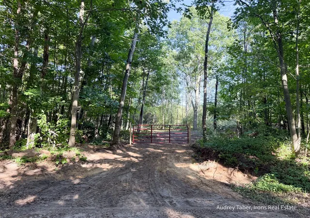 Land for sale at Par 3 Clements Rd, Kaleva, MI 49645-49619 | MLS# 70557978