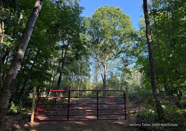 Photo 2 of Land for sale at Par 3 Clements Rd, Kaleva, MI 49645 | MLS# 70557978 | Listing updated on 2026-09-11